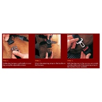 Car Harness for Dogs with Seat Belt Attachment image 1