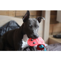 Outward Hound Fire Biterz Tough Red Dragon No Stuffing Squeaker Dog Toy image 1