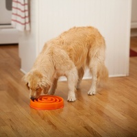 Outward Hound Fun Feeder Slow Bowl for Dogs - Orange Coral Maze image 0