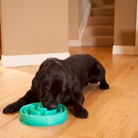 Outward Hound Fun Feeder Interactive Slow Bowl for Dogs - Teal Drop image 0