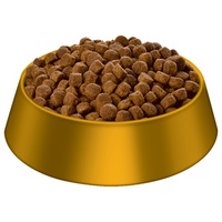 Hills Science Diet Puppy Large Breed Dry Dog Food 3kg image 1