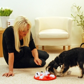 Nina Ottosson Interactive Treat Hiding Dog - The Smart in Orange image 1