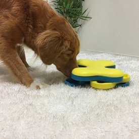 Nina Ottosson Interactive Treat Hiding Dog - The Tornado in Blue image 1