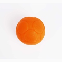 Aussie Dog Buddy Ball - Interactive Food Dispensing Dog Toy image 1