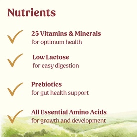 Di-Vetelact Advanced Nutritional Supplement & Milk Replacer for Newborn to Senior Pets image 1