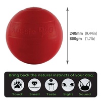 Aussie Dog Enduro Ball Non-Toxic Hard Plastic Tough Dog Toy - Large image 1