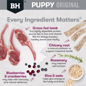 Black Hawk Original Lamb & Rice Puppy Dry Dog Food for Medium Breeds - 20kg image 1