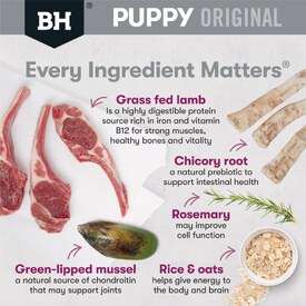 Black Hawk Original Lamb & Rice Puppy Dry Dog Food for Large Breeds - 20kg image 1