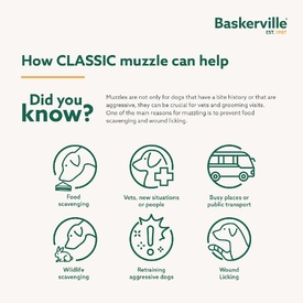 Baskerville Classic Basket Dog Muzzle | Secure, Comfortable & Breathable image 1