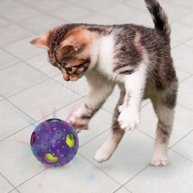 2 x KONG Bat-A-Bout Flicker Disco Interactive Cat Toy image 1