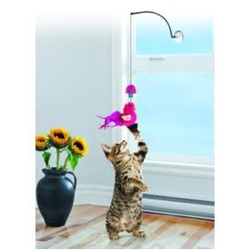 3 x KONG Active Window Teaser Cat Toy image 1