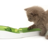 Catit Senses 2.0 Wave Circuit Interactive Ball Chaser Cat Toy image 1