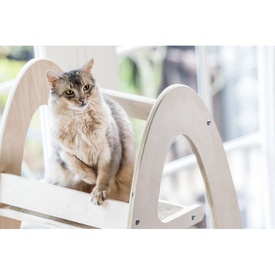 Contour Modern Wooden Cat Climbing Tower image 1