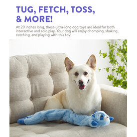 Charming Pet Longidudes Extra Long 75cm Plush Squeaker Dog Toy - Raccoon image 1