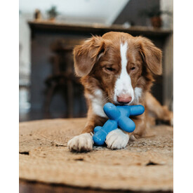 Charming Pet Latex Squeaker Dog Toy - Blue Balloon Dog - Large image 1