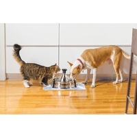 Drinkwell 360 Stainless Steel Multi-Pet Drinking Fountain 3.8 Litres image 1