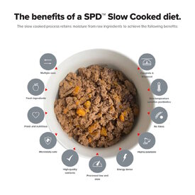 Prime100 SPD Slow Cooked Dog Food Single Protein Salmon & Pumpkin 12 x 354g image 1