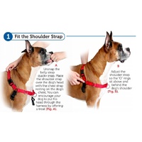 Petsafe Easy Walk Front-Attachment No-Pull Dog Harness - Medium image 1
