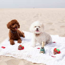Fringe Studio Champagne Strawberry 3-piece Small Dog Toy Set image 1