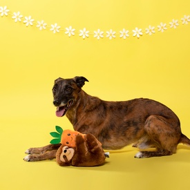 Fringe Studio Easter Sloth on a Carrot Plush Squeaker Dog Toy image 1