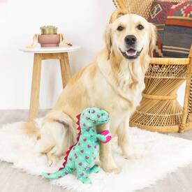 Fringe Studio Plush Squeaker Valentine's Day Dog Toy - XO Rex image 1