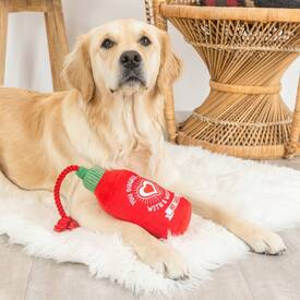 Fringe Studio Rope & Plush Squeaker Valentine's Day Dog Toy - Hearts On Fire image 1