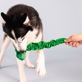 Fringe Studio Hisses & Kisses Tuggable Plush Dog Toy image 1