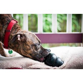 4 x KONG Classic Extreme Black Interactive Dog Toy - for Tough Dogs! Small image 1