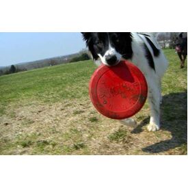 KONG Flyer Frisbee Classic Red Non-Toxic Rubber Fetch Dog Toy  - Pack of 4 image 1