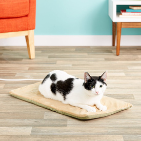 K&H Thermo Dog Low-Voltage Heated Pet Mat in Sage Green image 1