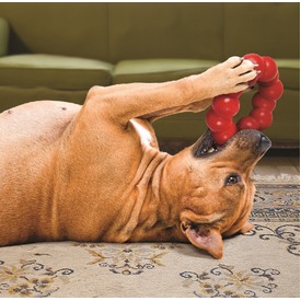 3 x KONG Natural Red Rubber Ring Dog Toy for Healthy Teeth & Gums - Small/Medium image 1