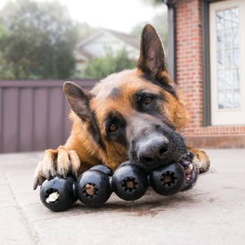 KONG Extreme Goodie Ribbon Treat Dispenser Dog Toy image 1