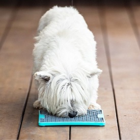 LickiMat Buddy Tuff Slow Food Bowl Anti Anxiety Licking Mat for Dogs image 1