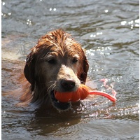 KONG Aqua Classic Shape Fetch Dog Toy on a Rope image 1