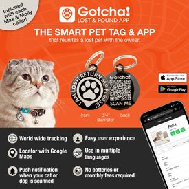 Max & Molly Smart ID Cat Collar - Magic Zebra image 1