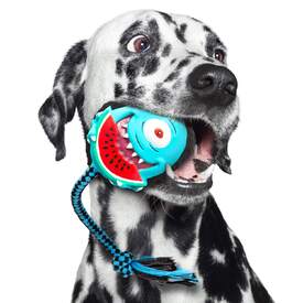 Max & Molly Squeaker Snuggles Dog Toy - Bubba King image 1