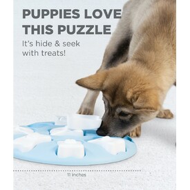 Nina Ottosson Smart Interactive Puzzle Dog Toy for Puppies - Level 1 image 1