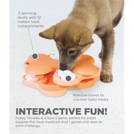 Nina Ottosson Tornado Interactive Puzzle Dog Toy for Puppies - Level 2 image 1