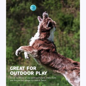 Outward Hound Fetch Squeaker Ballz Dog Toy - Pack of 2 Large image 1