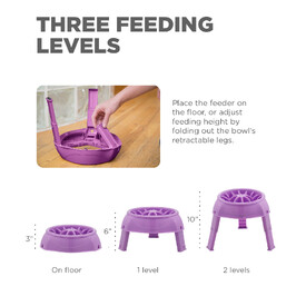 Outward Hound 3-in-1 Up Height Adjustable Dog Bowl - Purple image 1