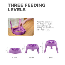 Outward Hound 3-in-1 Up Height Adjustable Slow Feeder Dog Bowl - Purple image 1