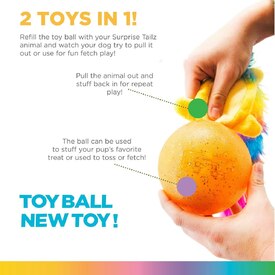 Outward Hound 2-in-1 Surprize Tailz Ball & Plush Toy - Assorted Designs image 1