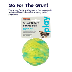 Petstages Grunt N Punt Tennis Ball Fetch Dog Toy image 1
