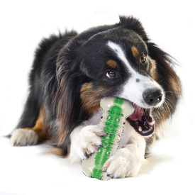 Petstages Crunchcore Crunchy Centre Chew Bone Dog Toy image 1