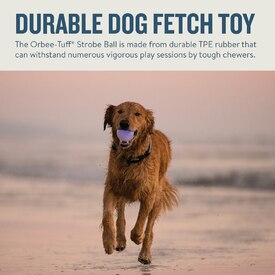 Planet Dog Orbee-Tuff Flashing Strobe Ball Dog Toy - Glow in the Dark image 1