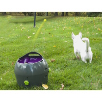 Petsafe Automatic Multi-Angled Ball Launcher for Dogs image 1