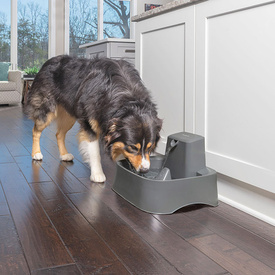 Drinkwell Charcoal Filtered Pet Water Fountain for Cats & Dogs - 7.5 Litre image 1