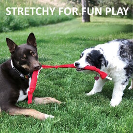 3 x KONG Signature Double Crunch Rope Tug & Fetch Dog Toy - Medium image 1
