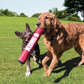 KONG Signature Stick - Safe Fetch Toy with Rattle & Squeak for Dogs  image 1