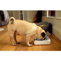 Surefeed Motion-Activated Battery Operated Sealed Pet Food Bowl image 1